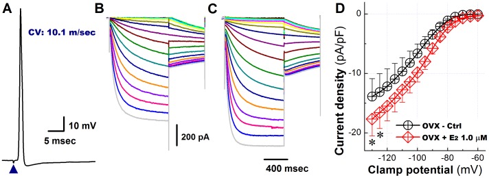 Figure 9