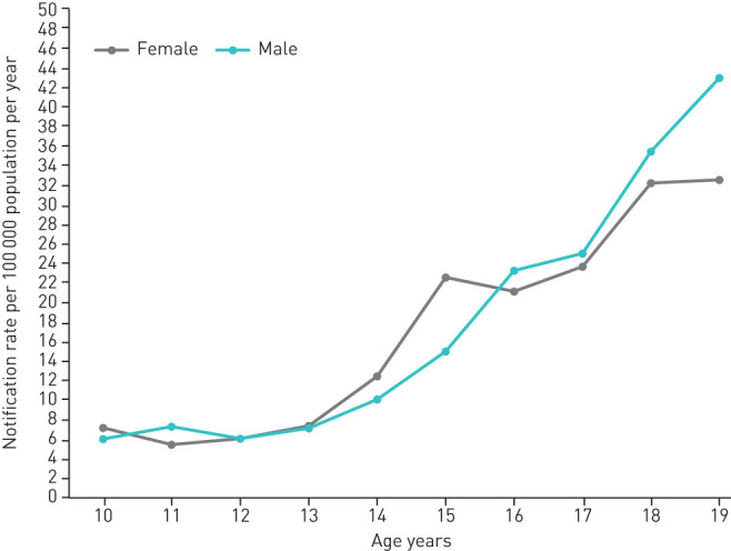 FIGURE 1