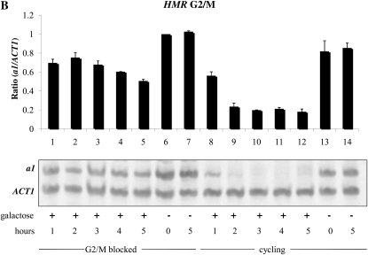 Figure 2.—