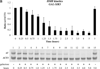 Figure 1.—