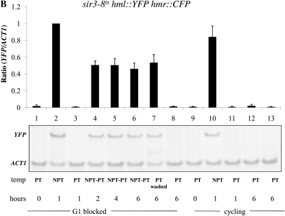 Figure 5.—