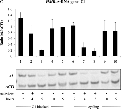 Figure 5.—