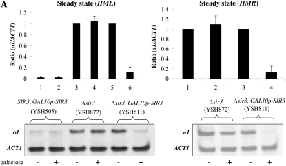 Figure 1.—