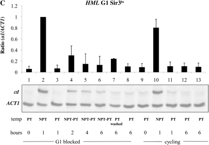 Figure 3.—