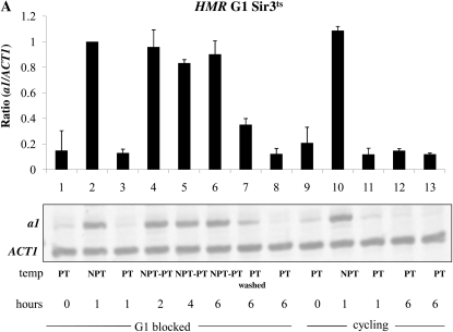 Figure 3.—