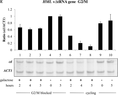 Figure 5.—