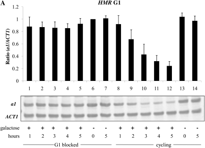 Figure 2.—