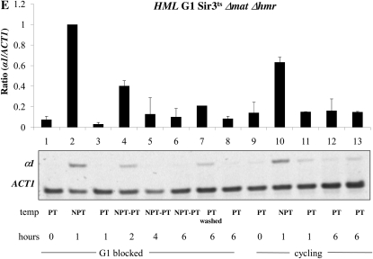 Figure 3.—