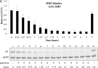 Figure 1.—