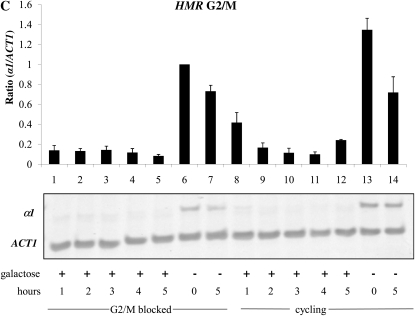 Figure 2.—