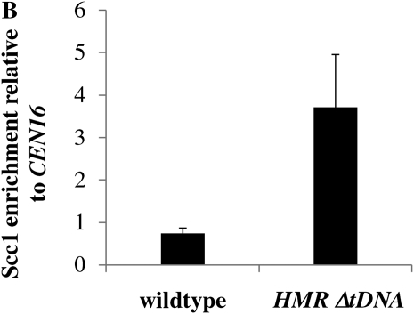 Figure 7.—