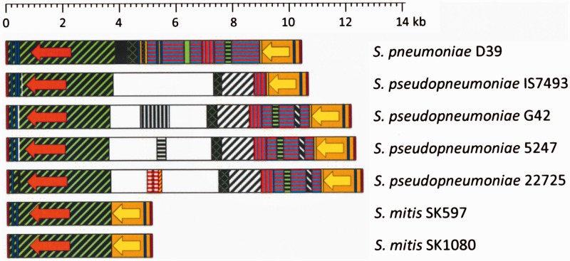 Fig. 7.—