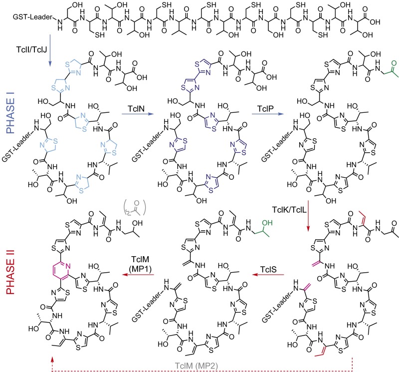 Fig. 2.