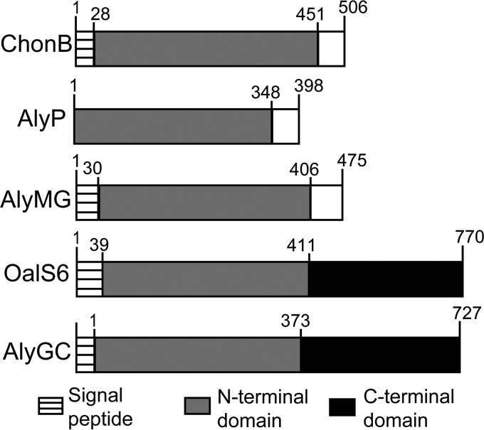 FIGURE 1.