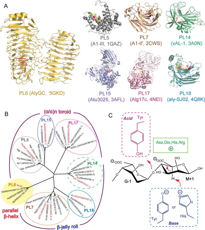 FIGURE 10.