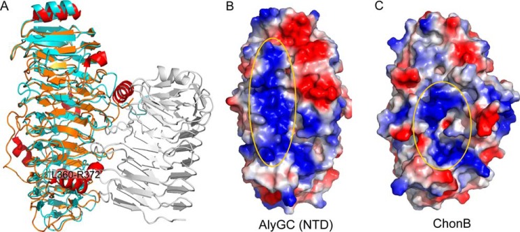 FIGURE 4.