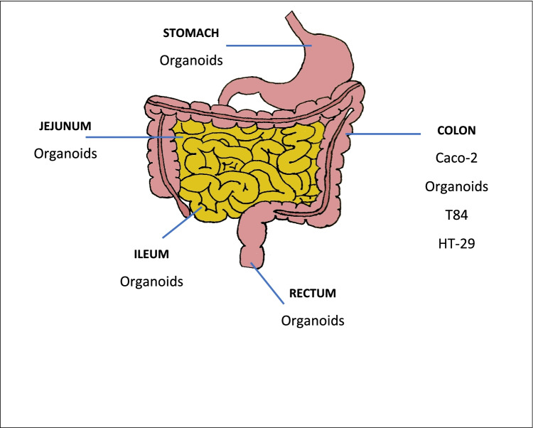 Fig. 3