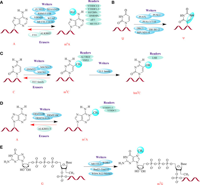 Figure 1