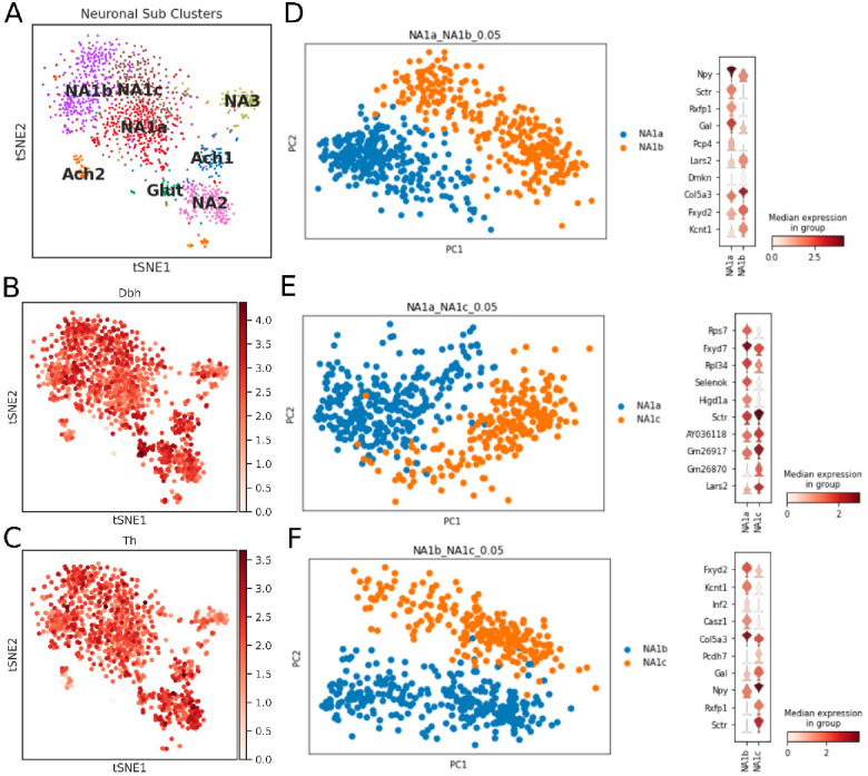 Figure 1—figure supplement 4.