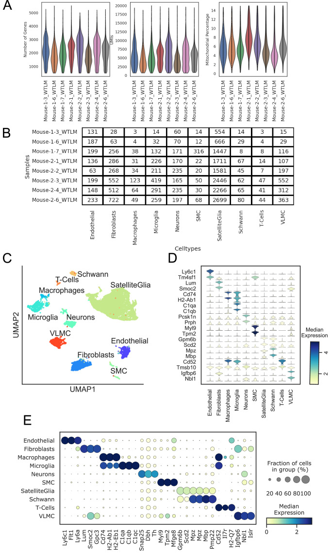 Figure 1—figure supplement 3.