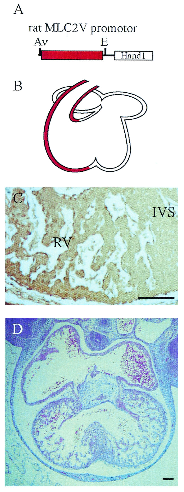 FIG. 5.