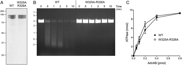 Fig. 5.