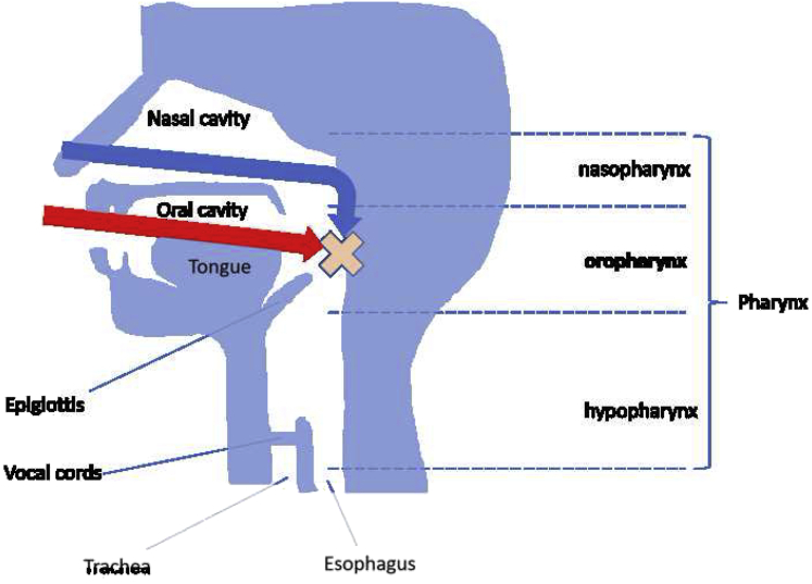 Figure 1