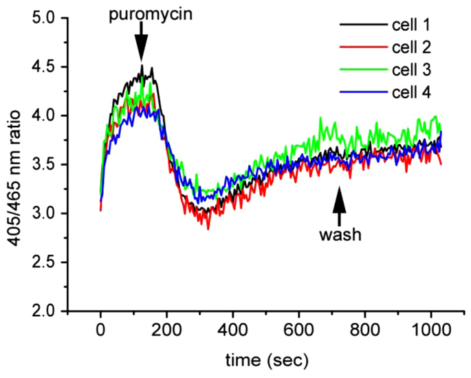 Fig. 4.