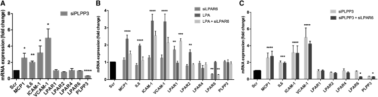 Figure 7