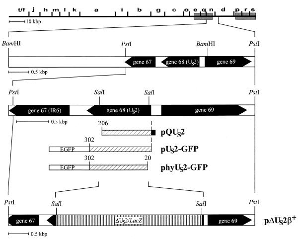 FIG. 1