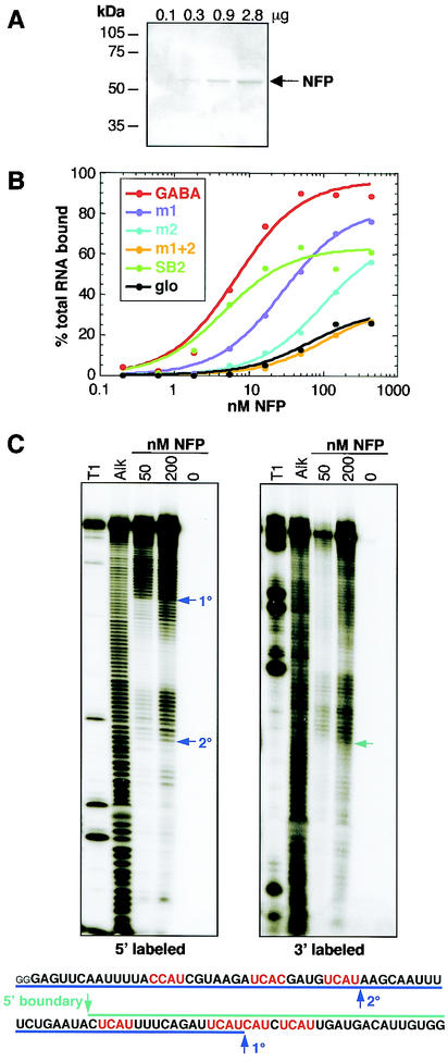 FIG. 6.