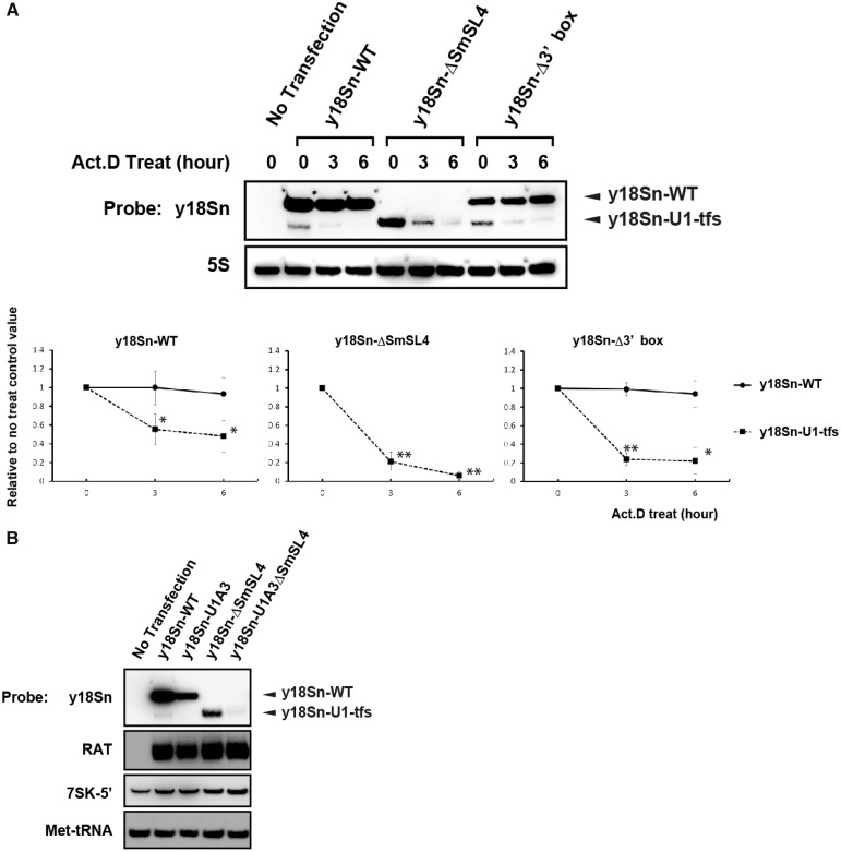 Figure 6.