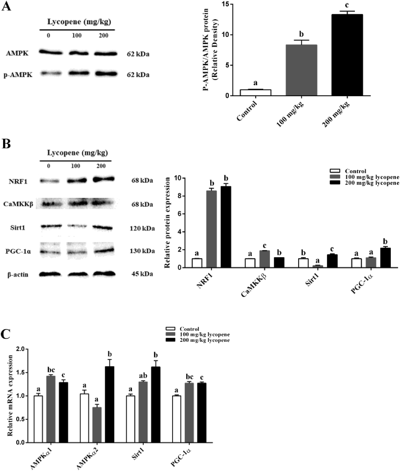 Fig. 3