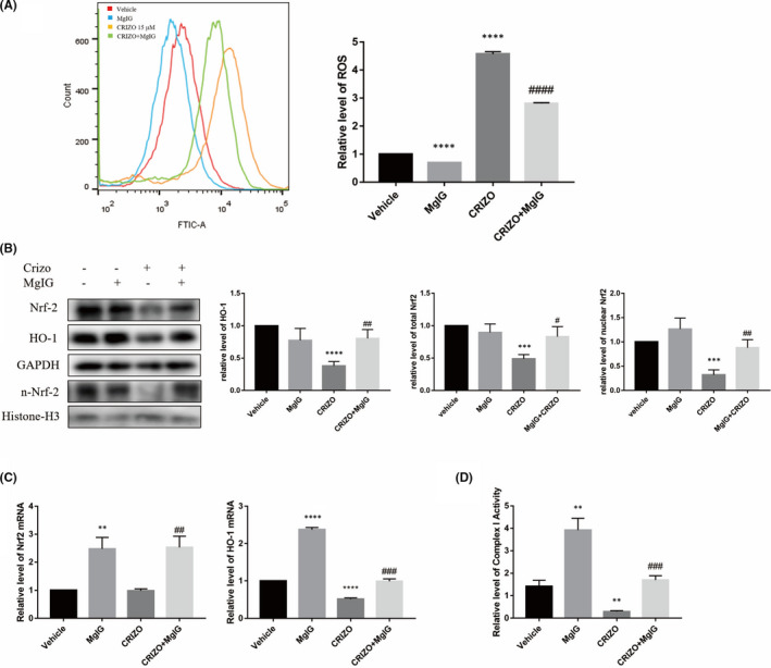 FIGURE 4