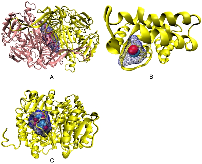 Figure 12