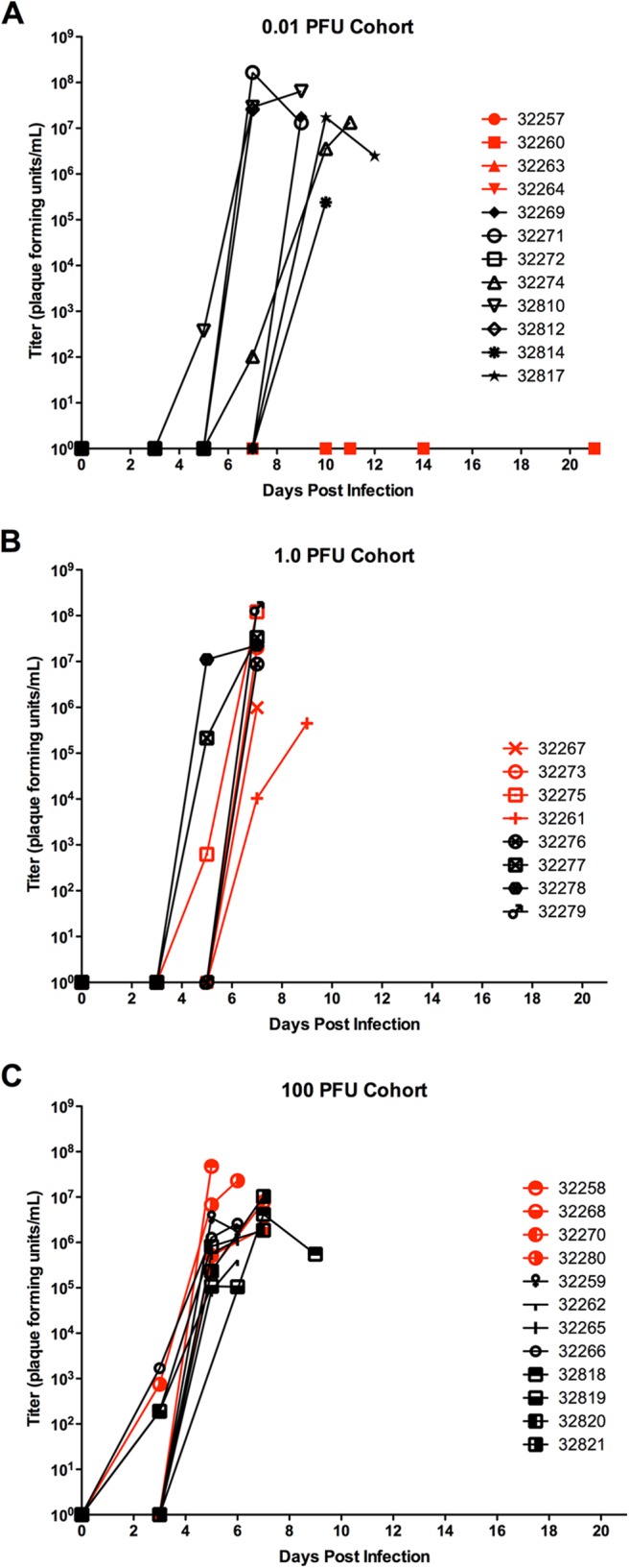 FIG 2