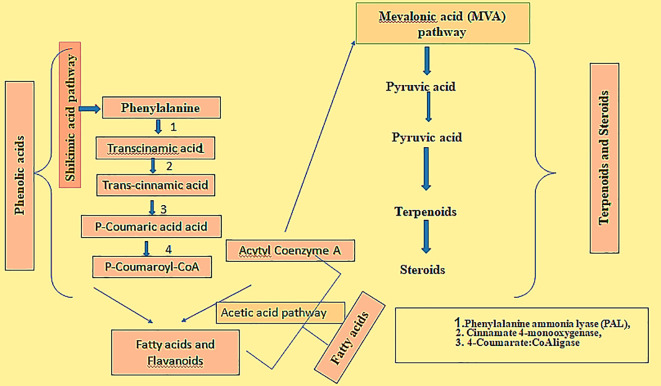 Figure 2