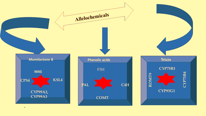 Figure 3