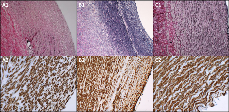 Fig. 3