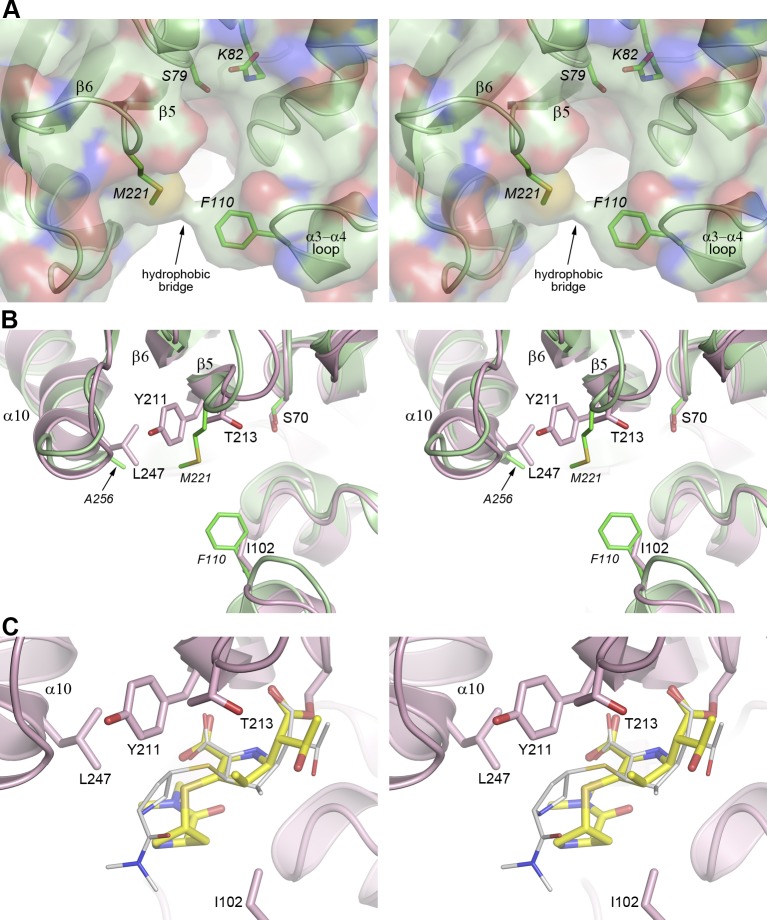 FIG 5