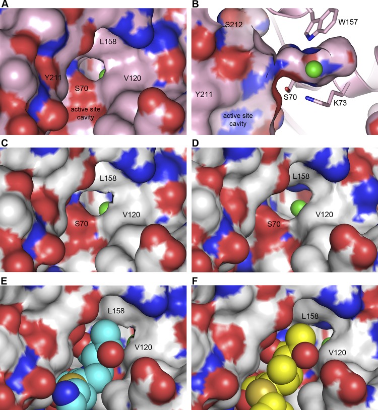 FIG 6