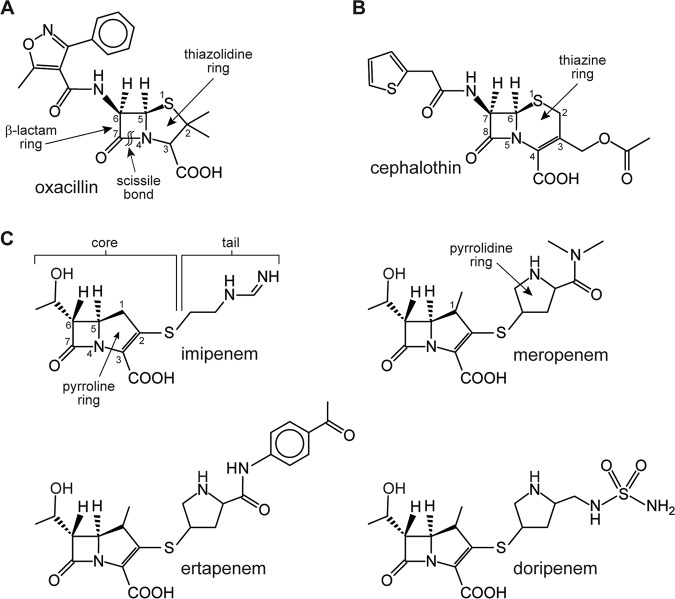 FIG 1