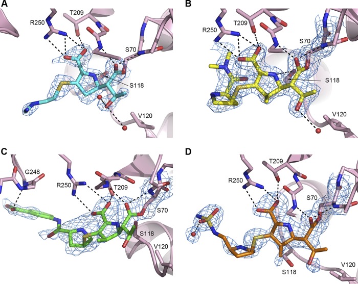 FIG 3