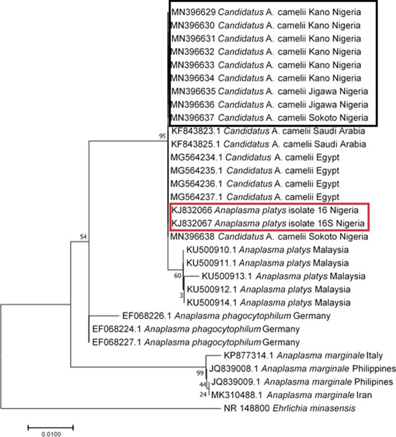 Fig. 2