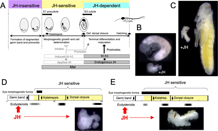 Figure 10.