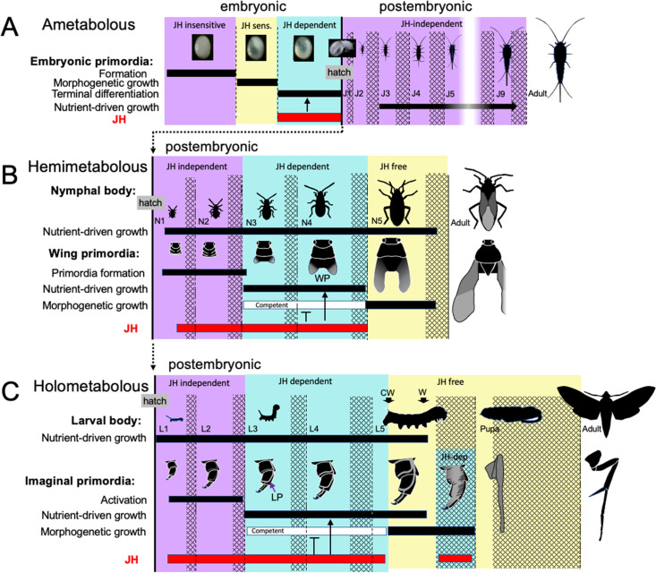 Figure 12.