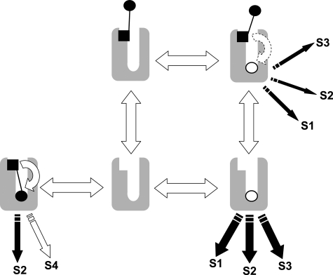 FIGURE 8.