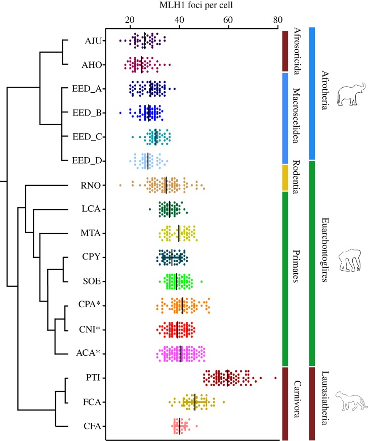 Figure 1.