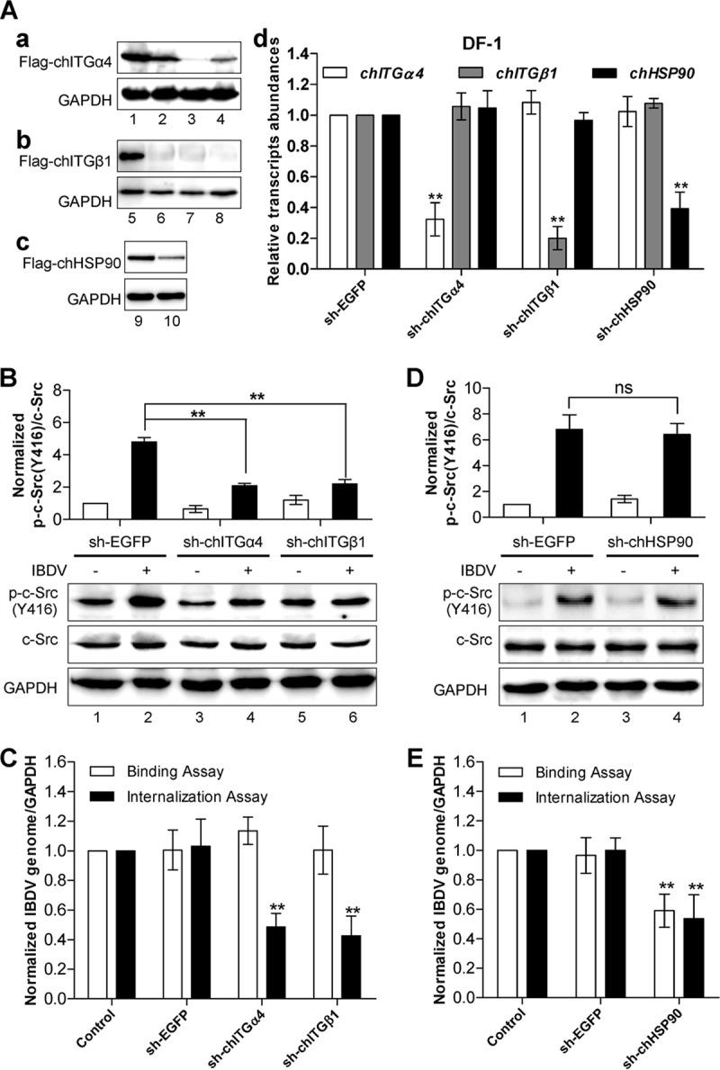 FIG 3