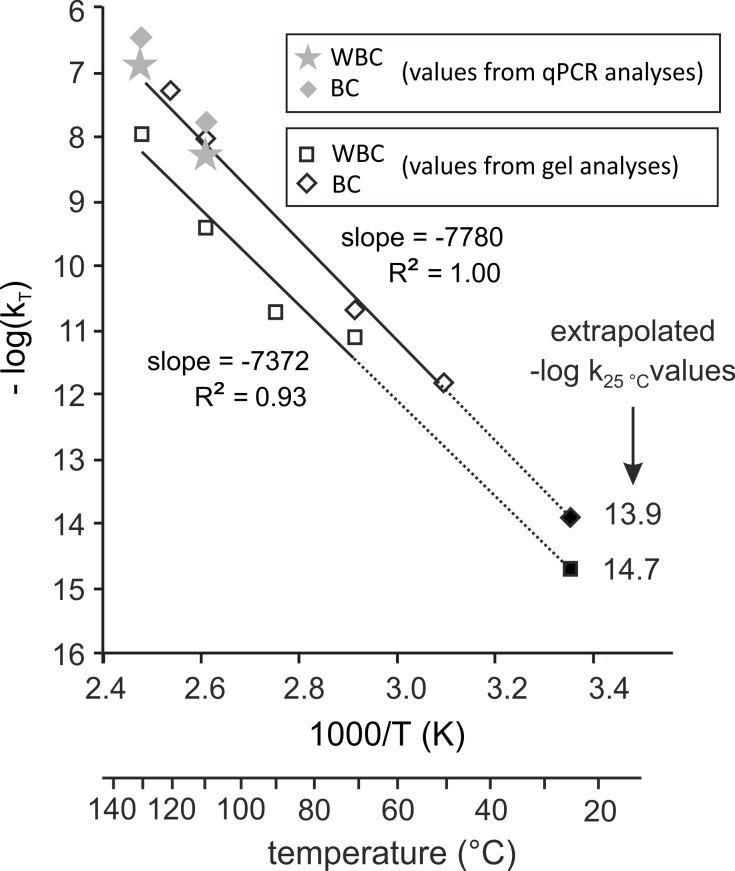 Fig 7